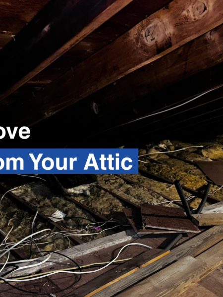 How to Remove Insulation from Your Attic