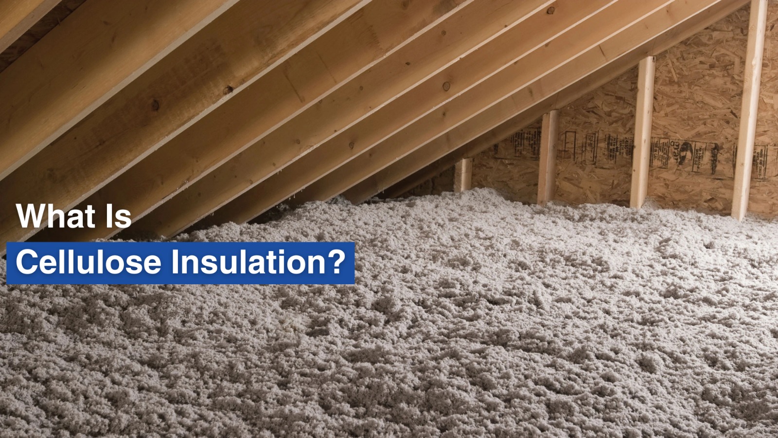 What is Cellulose Insulation