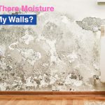 Why Is There Moisture Inside My Walls