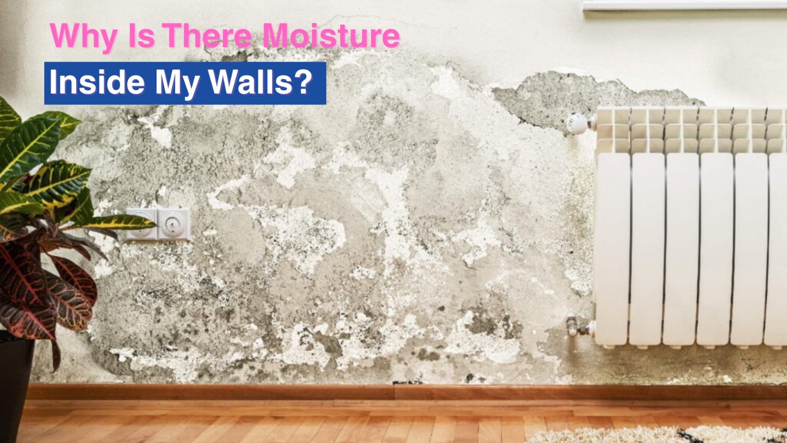 Why Is There Moisture Inside My Walls